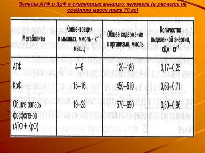 Запасы АТФ и Кр. Ф в скелетных мышцах человека (в расчете на  