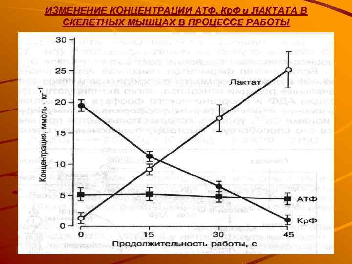 ИЗМЕНЕНИЕ КОНЦЕНТРАЦИИ АТФ, Кр. Ф и ЛАКТАТА В  СКЕЛЕТНЫХ МЫШЦАХ В ПРОЦЕССЕ РАБОТЫ