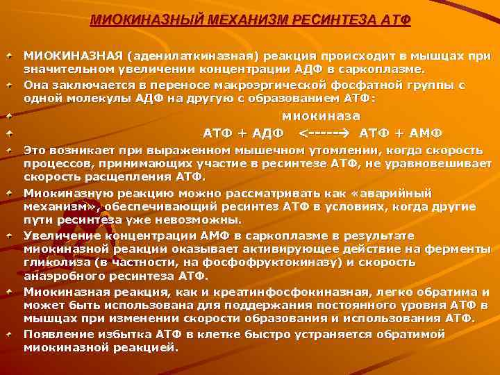    МИОКИНАЗНЫЙ МЕХАНИЗМ РЕСИНТЕЗА АТФ МИОКИНАЗНАЯ (аденилаткиназная) реакция происходит в мышцах при
