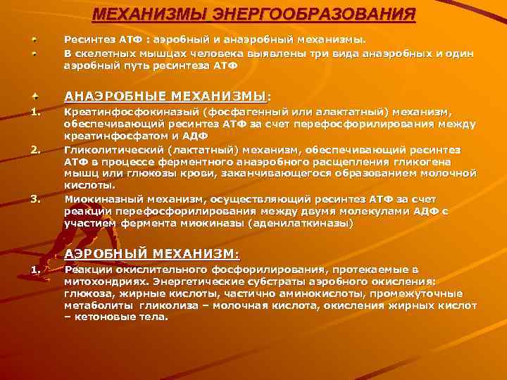    МЕХАНИЗМЫ ЭНЕРГООБРАЗОВАНИЯ Ресинтез АТФ : аэробный и анаэробный механизмы.  В