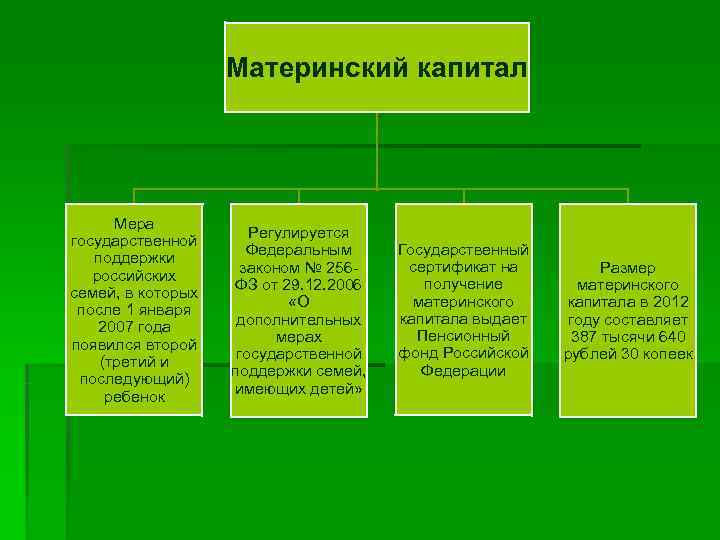  Материнский капитал Мера государственной Регулируется Федеральным Государственный поддержки законом № 256 сертификат на