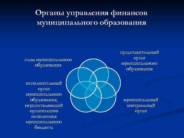   Органы управления финансов муниципального образования     представительный глава муниципального