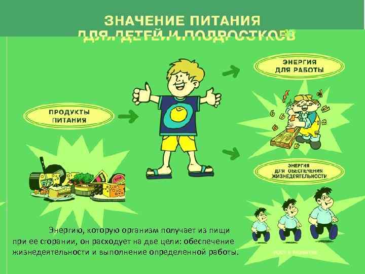    Энергию, которую организм получает из пищи при ее сгорании, он расходует
