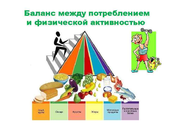 Баланс между потреблением и физической активностью 