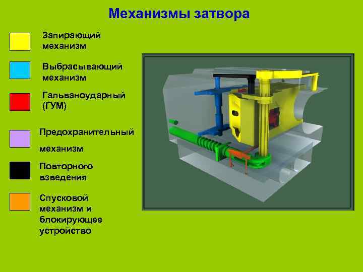     Механизмы затвора Запирающий механизм Выбрасывающий механизм Гальваноударный (ГУМ) Предохранительный механизм