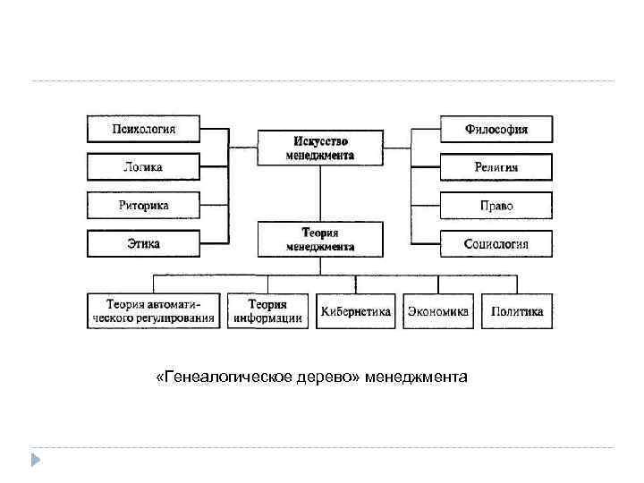  «Генеалогическое дерево» менеджмента 