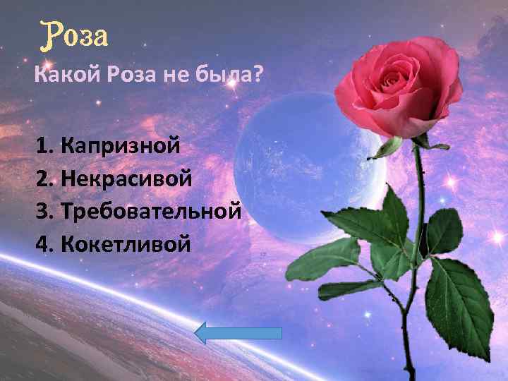 Роза Какой Роза не была? 1. Капризной 2. Некрасивой 3. Требовательной 4. Кокетливой 