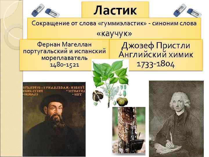 Ластик Сокращение от слова «гуммиэластик» - синоним слова «каучук» Фернан Магеллан Джозеф Пристли португальский