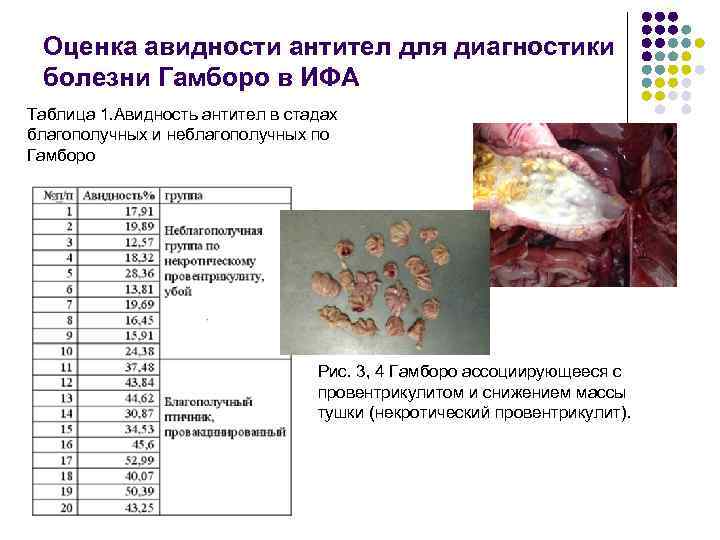  Оценка авидности антител для диагностики болезни Гамборо в ИФА Таблица 1. Авидность антител