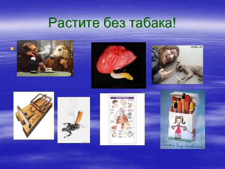   Растите без табака! § 