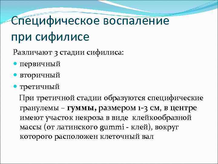 Специфическое воспаление при сифилисе Различают 3 стадии сифилиса: первичный вторичный третичный При третичной стадии