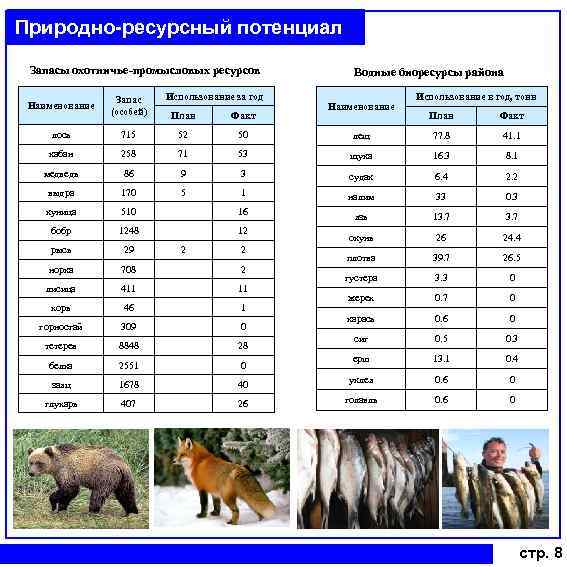 Природно-ресурсный потенциал Запасы охотничье-промысловых ресурсов Наименование Запас (особей) лось Использование за год План Факт