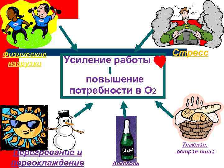 Физические     Стресс нагрузки  Усиление работы   повышение 