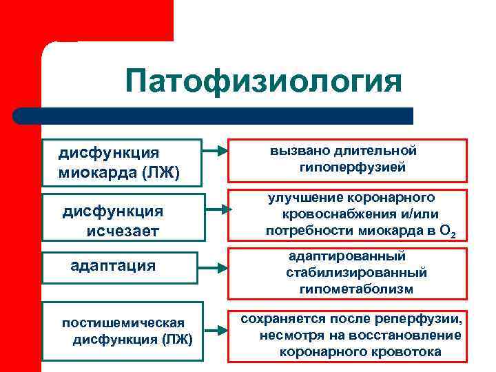   Патофизиология дисфункция  вызвано длительной миокарда (ЛЖ)  гипоперфузией   