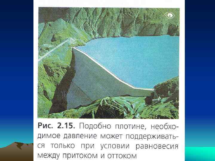  Врождённая глаукома  • 1 больной ребёнок на 20 000  новорожденных, мальчики