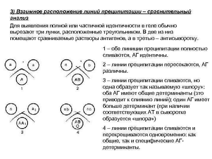 3) Взаимное расположение линий преципитации – сравнительный анализ Для выявления полной или частичной идентичности