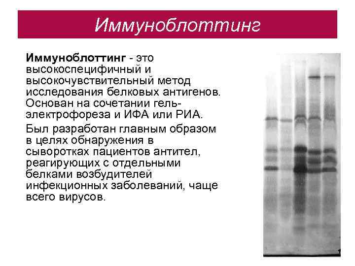  Иммуноблоттинг - это высокоспецифичный и высокочувствительный метод исследования белковых антигенов. Основан на сочетании