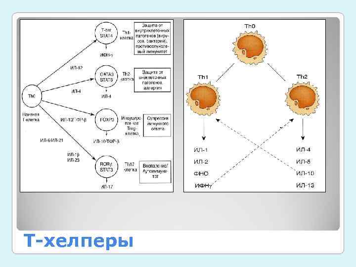 Оценка т. Беросет система.