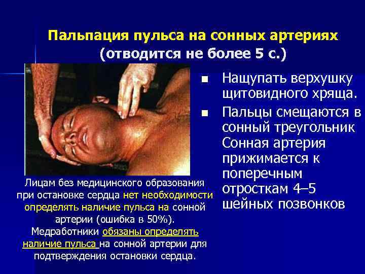  Пальпация пульса на сонных артериях  (отводится не более 5 с. ) 