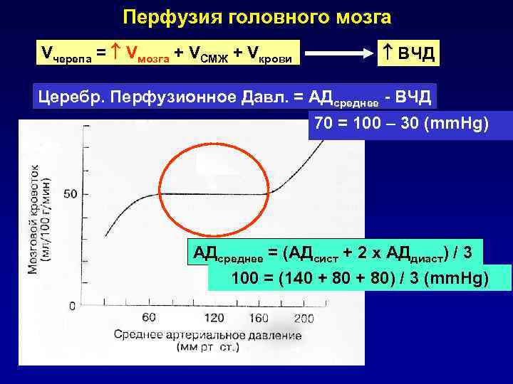   Клиническая картина  ишемического инсульта   Очаговые симптомы: Каротидная система 