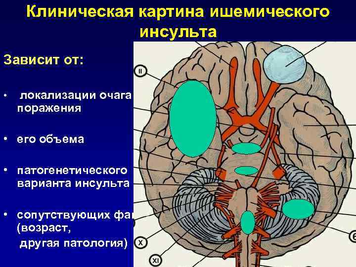 л. ЗМА Р 1  ОА  ПА V 2 