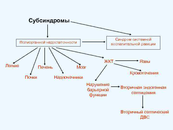    Субсиндромы      Синдром системной   Полиорганной