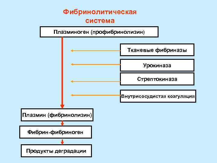   Фибринолитическая   система   Плазминоген (профибринолизин)    