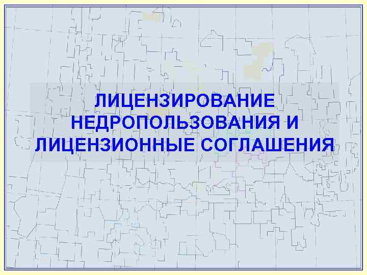  ЛИЦЕНЗИРОВАНИЕ  НЕДРОПОЛЬЗОВАНИЯ И ЛИЦЕНЗИОННЫЕ СОГЛАШЕНИЯ 