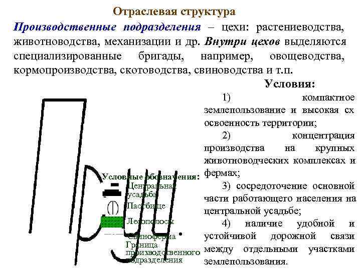    Отраслевая структура Производственные подразделения – цехи: растениеводства, животноводства, механизации и др.