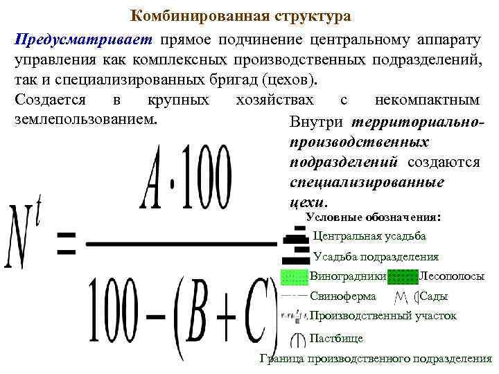     Комбинированная структура Предусматривает прямое подчинение центральному аппарату управления как комплексных