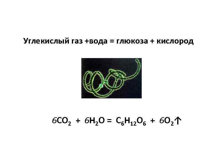 Углекислый газ +вода = глюкоза + кислород 6 СО 2 + 6 Н 2