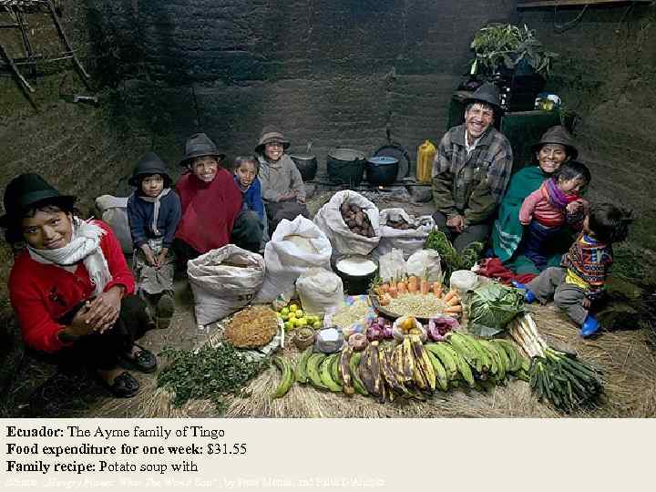 Ecuador: The Ayme family of Tingo Food expenditure for one week: $31. 55 Family