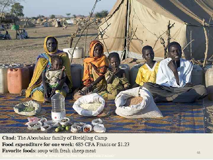 Chad: The Aboubakar family of Breidjing Camp Food expenditure for one week: 685 CFA