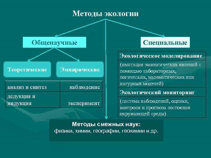 Проект по математике моделирование экологических процессов