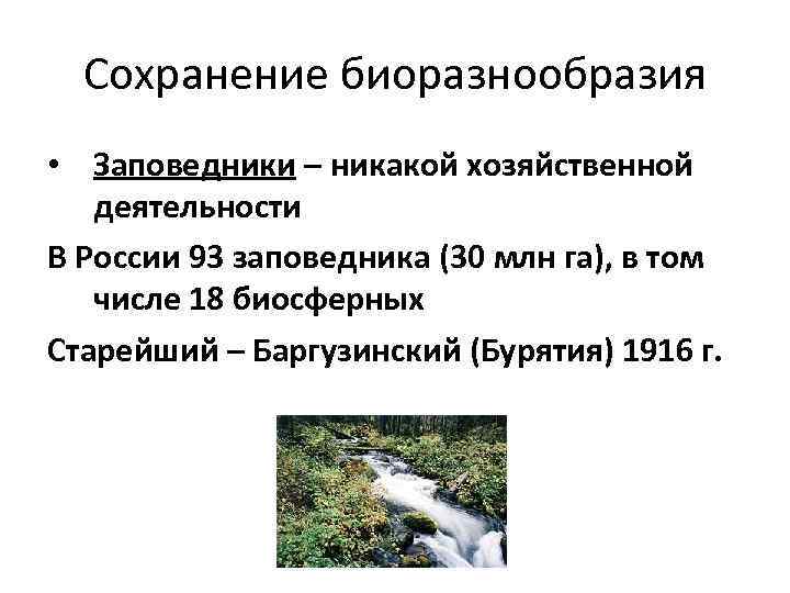  Сохранение биоразнообразия • Заповедники – никакой хозяйственной деятельности В России 93 заповедника (30