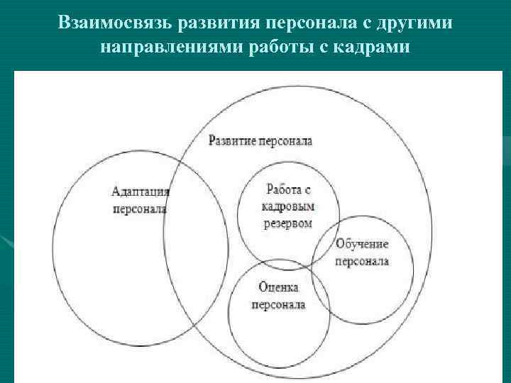 Взаимосвязь развития персонала с другими направлениями работы с кадрами 