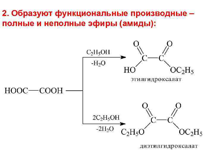 2. Образуют функциональные производные – полные и неполные эфиры (амиды): 