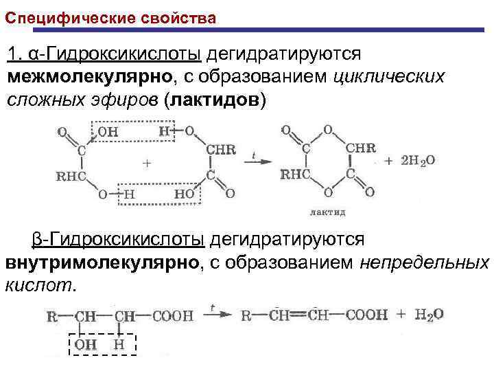 Специфические свойства 1. α-Гидроксикислоты дегидратируются межмолекулярно, с образованием циклических сложных эфиров (лактидов) β-Гидроксикислоты дегидратируются