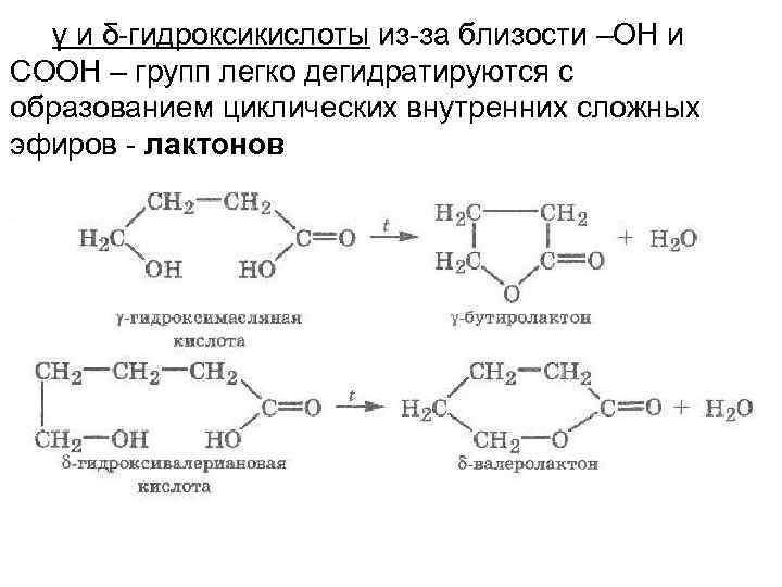  γ и δ-гидроксикислоты из-за близости –ОН и СООН – групп легко дегидратируются с