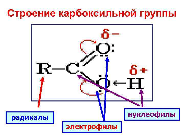 Строение карбоксильной группы радикалы нуклеофилы электрофилы 