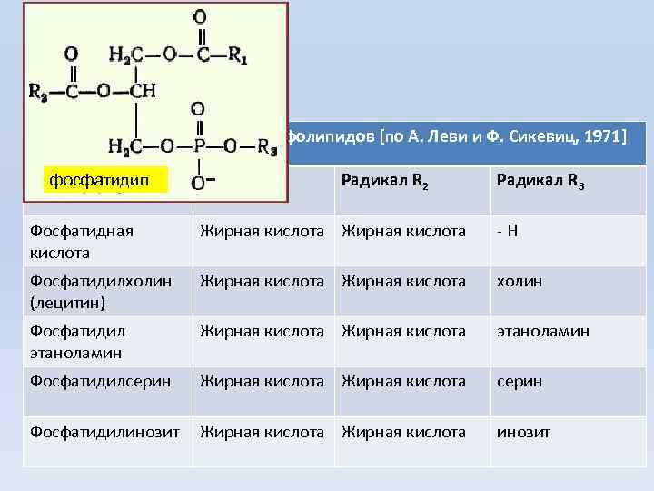 Строение основных глицерофосфолипидов [по А. Леви и Ф. Сикевиц, 1971] Название фосфатидил Радикал R