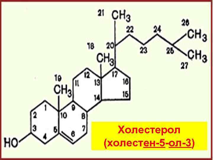  Холестерол (холестен-5 -ол-3) 