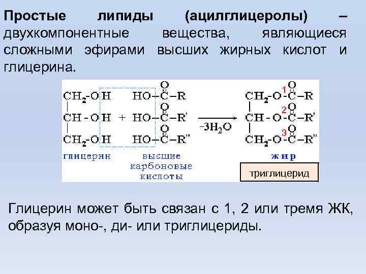 Простые липиды (ацилглицеролы) – двухкомпонентные вещества, являющиеся сложными эфирами высших жирных кислот и глицерина.