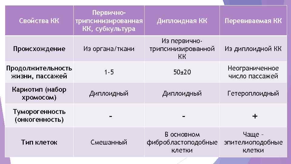      Первично-  Свойства КК трипсинизированная Диплоидная КК Перевиваемая КК