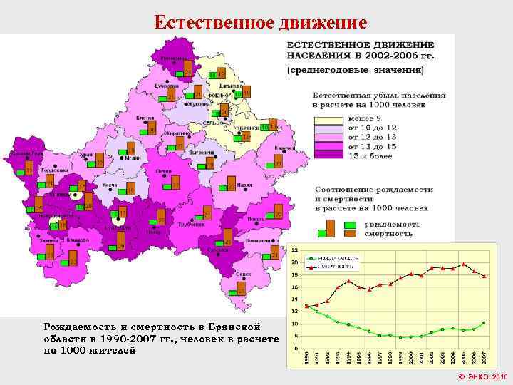 Естественное движение Рождаемость и смертность в Брянской области в 1990 -2007 гг. , человек