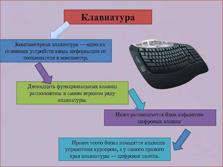  Клавиатура Компьютерная клавиатура — одно из основных устройств ввода информации от пользователя в