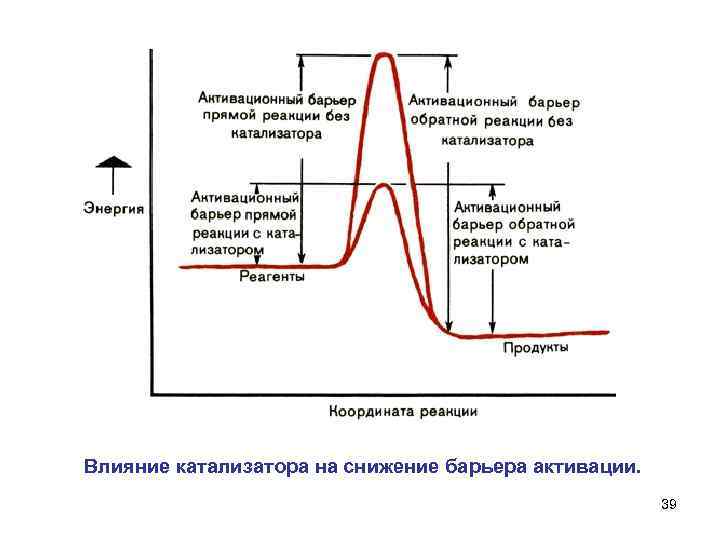 Влияние катализатора на снижение барьера активации. 39 