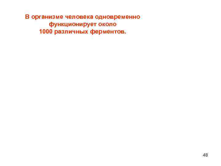 В организме человека одновременно функционирует около 1000 различных ферментов. 48 