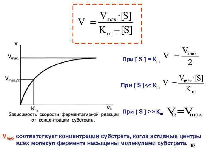  При [ S ] = Кm При [ S ]<< Кm При [