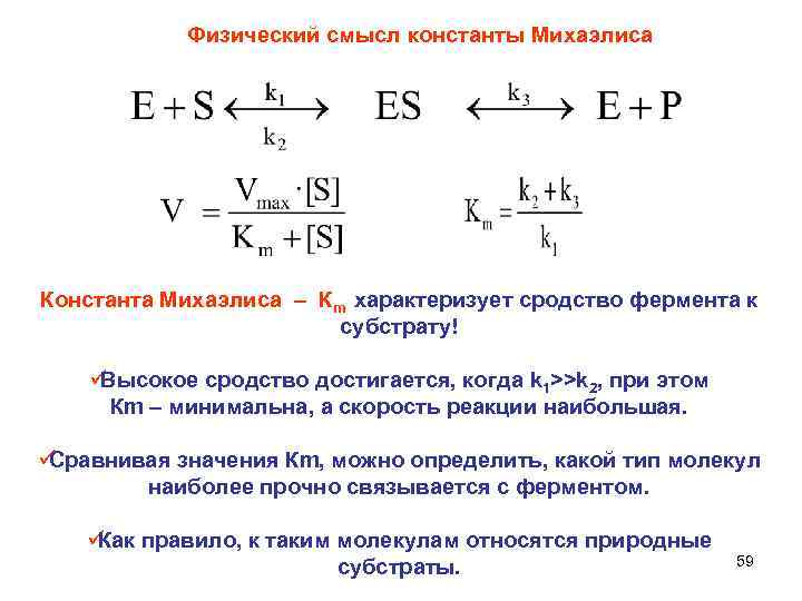  Физический смысл константы Михаэлиса Константа Михаэлиса – Кm характеризует сродство фермента к субстрату!